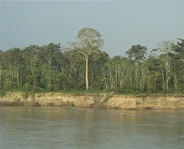 Navigating the Amazon River upstream of Parintins aboard Black Watch