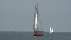 Zuiderzee sails on the IJsselmeer