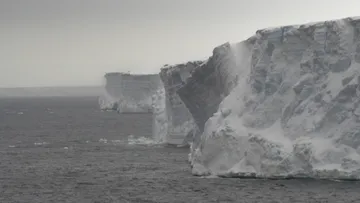 Navigating along iceberg A68A aboard HANSEATIC nature 