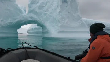 Icebergs @ Cuverville Island 