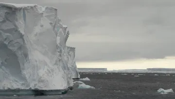 Navigating Weddell Sea aboard HANSEATIC nature 