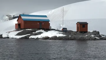 Passing Brown Base & Imperial Shag Colony, Paradise Bay 