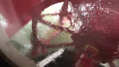 The paddle wheel of De Majesteit