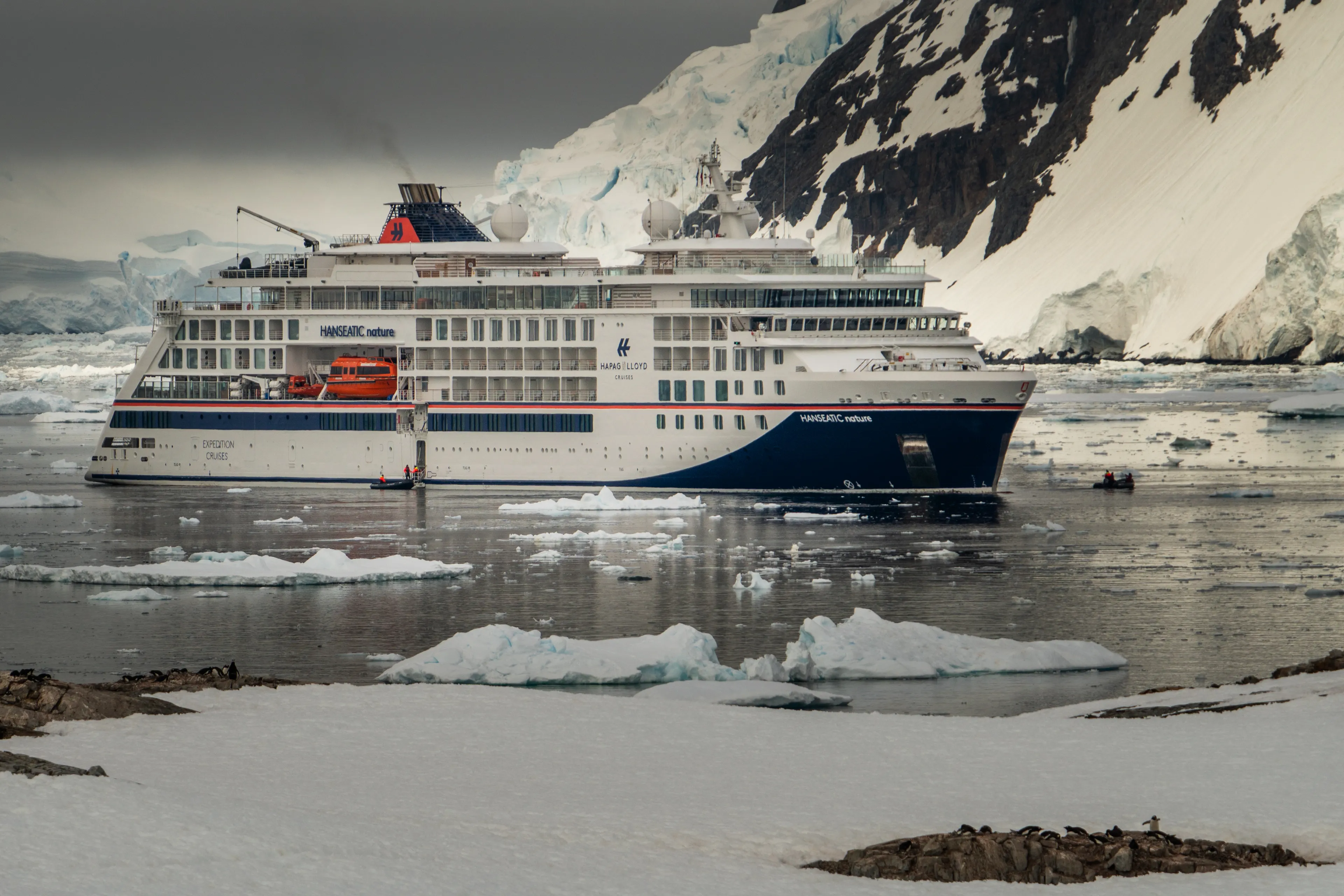 HANSEATIC nature at Petermann Island