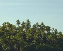 ships at Îles du Salut